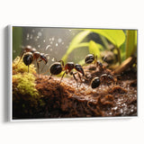 Vintage poster art of a colorful bird on a black background, framed canvas, ideal for living room decor.