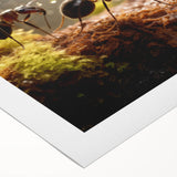 Art deco poster featuring a stylized bird in muted gold and teal tones on rolled canvas, suitable for dining room walls.