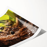 Extra large wall art featuring line art flowers in muted earth tones on a rolled print, suitable for large living room decor.