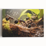 Black and white photo of a bird perched on a branch, printed on large stretched canvas, ideal for kitchen wall art.