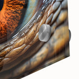 Mid-century modernist art of a bird in vibrant blues and greens on acrylic glass, ideal for dining room art.