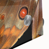 Mid-century modernist art featuring a close-up of birds in muted earth tones on large acrylic glass.