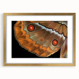 Extra large abstract art print of birds, using textured brush strokes in earth tones, framed in gold.