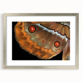 Textured art print of abstract bird designs in muted earth tones on a framed silver mat, suitable for bedroom art.