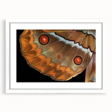 Abstract art print of vibrant birds in motion on a white framed canvas, suitable for dining room or bedroom decor.