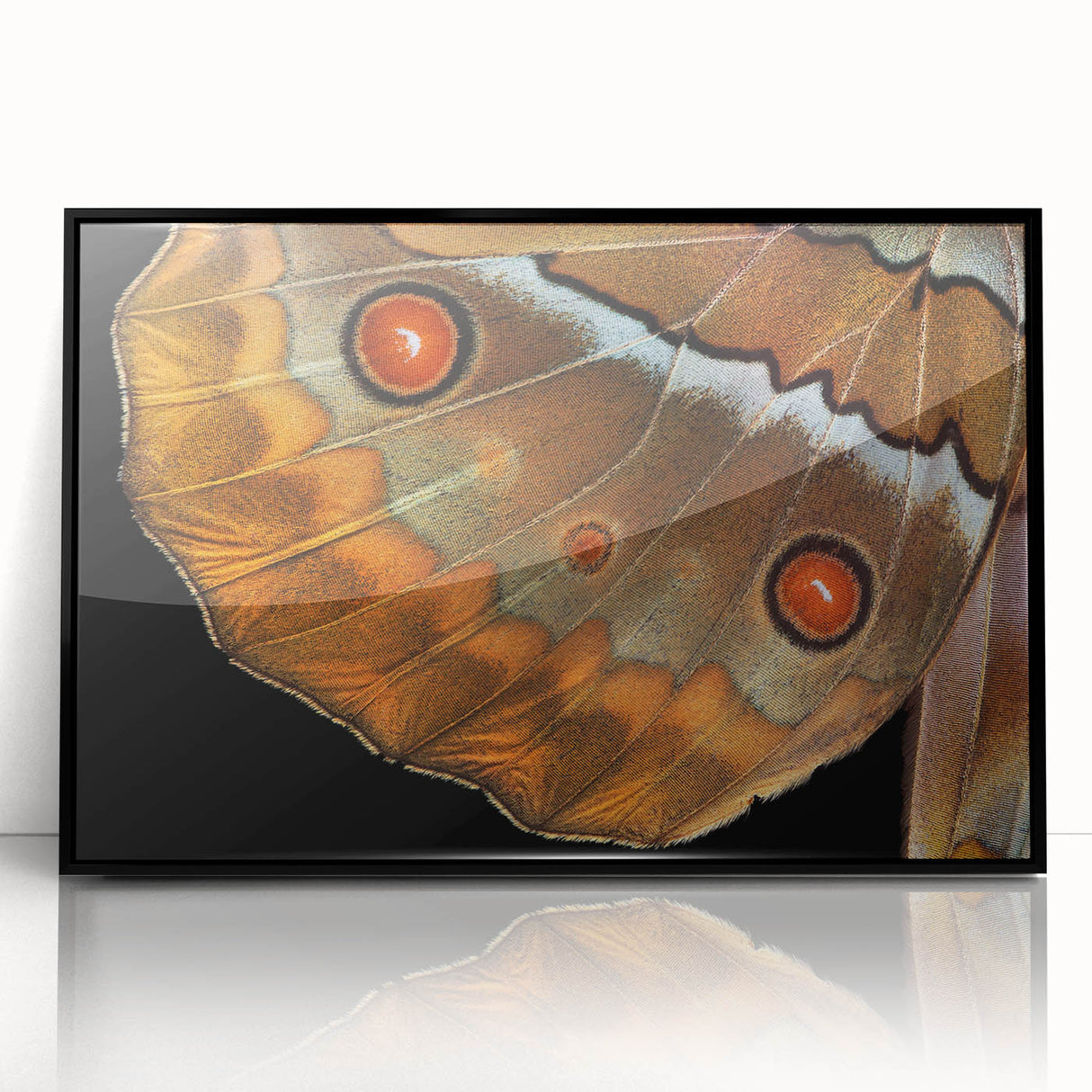 Large abstract wall art featuring a vibrant bird design in mid-century modernist style on black acrylic.