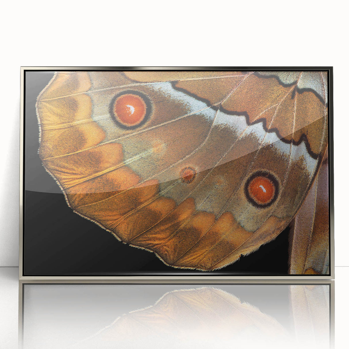 Mid-century modernist art of a bird in flight on acrylic print with silver frame, ideal for nursery wall decor.