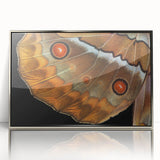 Mid-century modernist art of a bird in flight on acrylic print with silver frame, ideal for nursery wall decor.