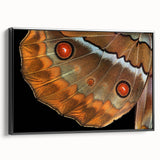 Black and white wall art featuring a close-up of a bird, printed on framed canvas, suitable for bedroom decor.