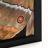 Close-up of a colorful bird on black framed canvas, with textured details, ideal for living room decor.