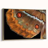 Framed canvas featuring a close-up of a bird in grayscale, ideal for bedroom wall decor.