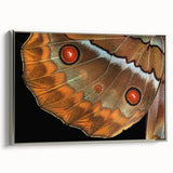 Framed canvas of a landscape art painting featuring a colorful bird in flight, set against a black background.