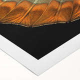 Art deco poster featuring a stylized bird in vibrant blue and gold tones on rolled canvas, suitable for dining room decor.