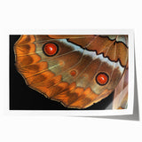 Extra large rolled print of a vibrant floral design featuring a variety of colorful flowers.