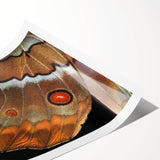 Extra large wall art featuring line art flowers in soft pastel shades on rolled canvas, ideal for large living room decor.