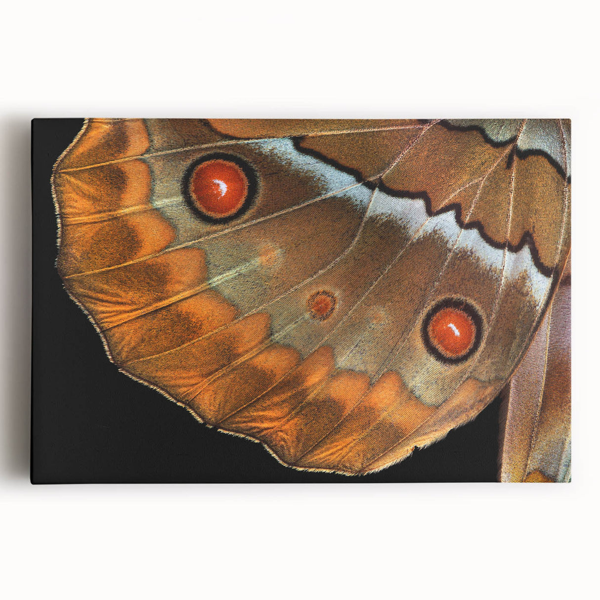 Black and white photo of a bird in flight on stretched canvas, ideal for kitchen wall art.