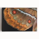 Black and white photo of a bird in flight on stretched canvas, ideal for kitchen wall art.