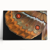 Black and white photograph of a bird in flight on stretched canvas, ideal for kitchen wall art or bedroom ambiance.