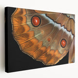 Close-up of a bird in muted earth tones on a large stretched canvas, ideal for kitchen wall art.