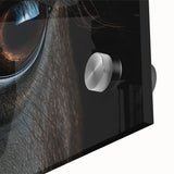 Mid-century modernist acrylic glass print of abstract birds in muted earth tones, ideal for dining room art.