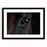 Abstract art print of colorful, textured birds in flight on a large black-framed canvas, ideal for living room decor.