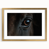 Extra large canvas featuring a textured abstract art print of birds in muted earth tones, ideal for living room decor.