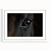 Abstract art print of birds in muted earth tones on a white framed canvas, suitable for dining room or bedroom decor.