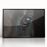 Large abstract wall art featuring a mid-century modernist bird design in black and white on framed acrylic.