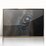 Large acrylic print of a bird in flight, featuring muted earth tones in a mid-century modernist style.