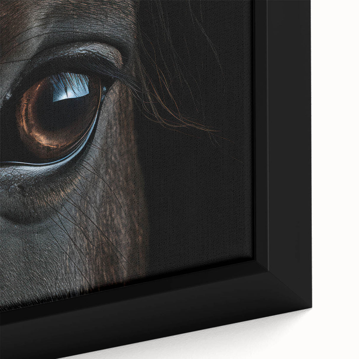 Extra large framed canvas featuring a close-up of a colorful, textured bird, ideal for living room decor.