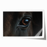 Close-up image of a bird on a branch, rendered in soft pastel shades on a rolled canvas.