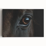 Black and white close-up photograph of a bird on stretched canvas, ideal for kitchen wall art.