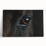 Black and white photograph of a bird on stretched canvas, ideal for kitchen wall art or bedroom ambiance.