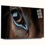 Close-up of a bird in flight captured on a large acrylic print, featuring vivid blue and green tones.