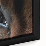 Close-up of a colorful bird on black textured canvas, ideal for extra large living room wall art.