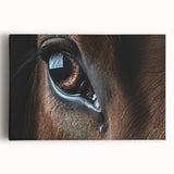 Black and white close-up image of a bird on stretched canvas, ideal for kitchen wall art.