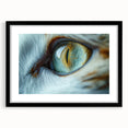 Extra large textured abstract art print featuring colorful birds, in a black frame with mat, ideal for living room decor.