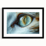 Extra large textured abstract art print featuring colorful birds, in a black frame with mat, ideal for living room decor.