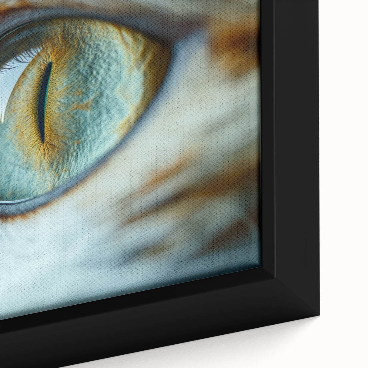 Extra large framed canvas featuring a close-up of a colorful bird, ideal for living room wall art with a textured surface.