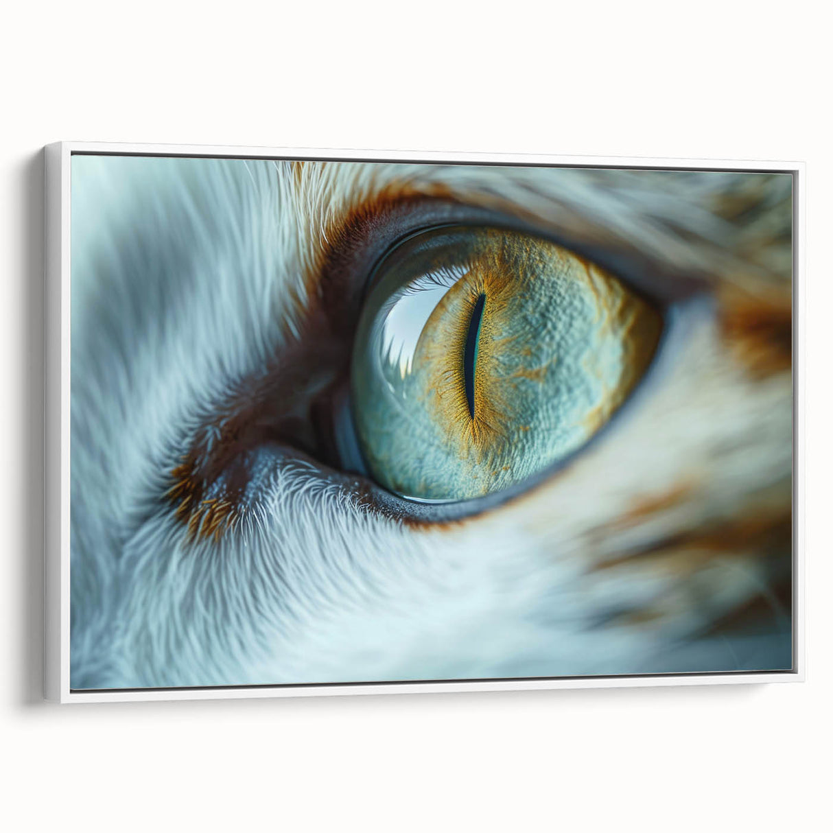Vintage poster art of a colorful bird, framed canvas in black, ideal for extra large living room wall.