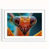 Abstract art print of a colorful bird in motion on white framed canvas, suitable for bedroom or dining room decor.