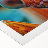 Art deco poster of a vibrant, stylized peacock on rolled canvas, suitable for dining room wall art.