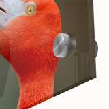 Mid-century modernist large abstract wall art depicting vibrant, multicolored birds, acrylic print.