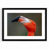 Extra large abstract art print featuring a colorful, textured depiction of birds, on black framed canvas.