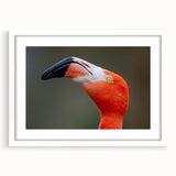 Abstract art print of birds in flight using muted blue and gray tones on a white framed canvas.