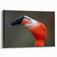 Black and white framed canvas depicting a close-up of a bird, ideal for bedroom wall decor.