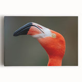 Close-up black and white photo of a bird on stretched canvas, suitable for kitchen wall art.