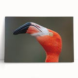 Black and white photograph of birds in flight on large stretched canvas, suitable as kitchen wall art or bedroom decor.