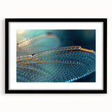 Extra large colorful art print depicting abstract birds, textured design on black framed canvas, ideal for living room decor.