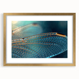 Extra large abstract art print of birds in textured gold frame, featuring vibrant colors, ideal for living room decor.